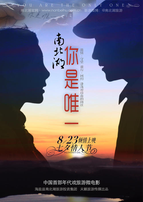 农业银行流水账单假的多少钱